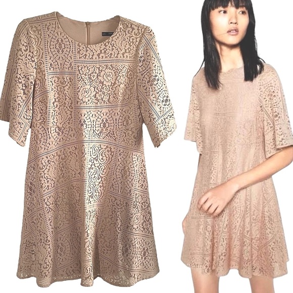 Zara Dresses & Skirts - Zara Basic Nude Lace Mini Dress  Scoop Neck Short Sleeves Size Small